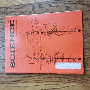 Vintage 70s Science Magazine Vol. 200 No. 4343